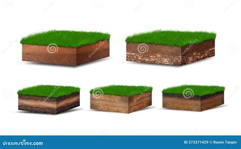Isometric Soil Layers Diagram Cross Section Of Green Grass And