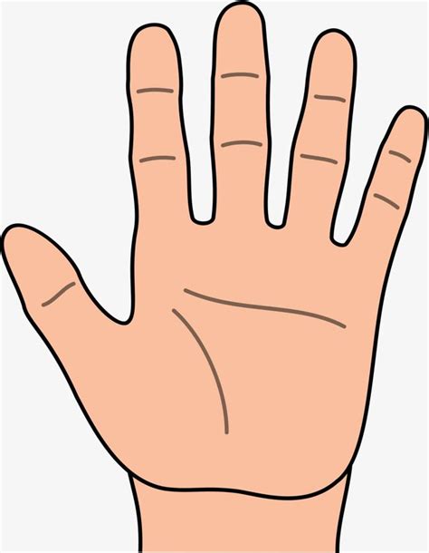 Left Hand Cartoon Hd Png Images Cartoon Clipart Palm Five Fingers