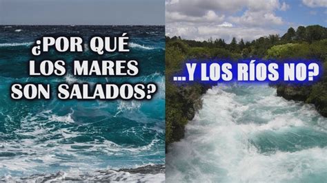 Potencial Viajero Patentar Qué Es El Agua Dulce Y El Agua Salada Ira Lo