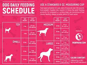 Dog Daily Schedule Chart