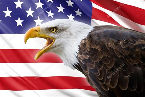 Una Hermosa águila Calva Con Un Fondo De Una Bandera De Estados Unidos
