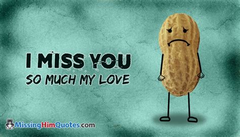 I Miss You So Much My Love