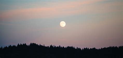7 Manifestation Tips For Tonights Vibrant Full Moon In Virgo Soul