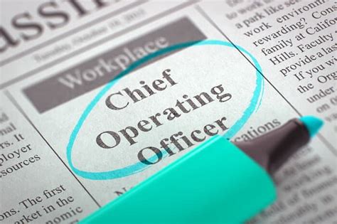 Chief Operating Officer Duties Laniramtani