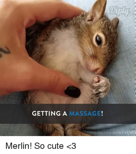 Getting A Massage Merlin So Cute