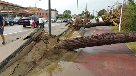 In unusual cases, tornadoes can make contact with. Slovák nakrútil v Taliansku tornádo | TVnoviny.sk