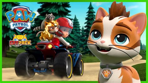 Wild Cat And Rubble Stop A Giant Ball Of Yarn Paw Patrol Cat Pack Rescue Episode Cartoons For