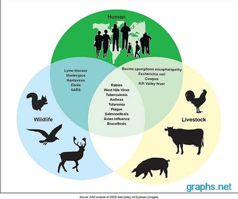 Zoonotic Diseases Fact chart/infographic - Infographics | Graphs.net