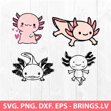 Cute Axolotl Svg • Premium And Free Svg Dxf Png Cut Files For Cricut