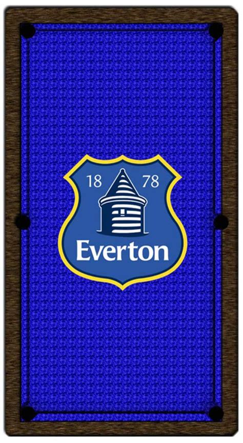 Pool table game is one of the most enjoyable games played all over the world with champions gaining a lot from it. Logo Pool Table Cloths | Branded Pool Cloth | Free Delivery!