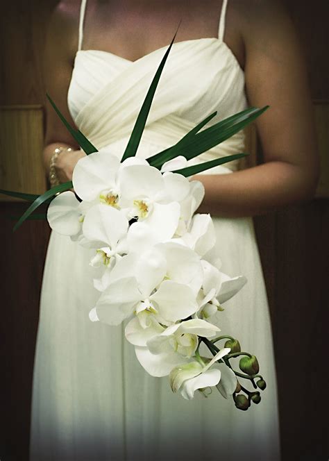 Cascade White Phalaenopsis Orchids Weddings In Thailand Wedding