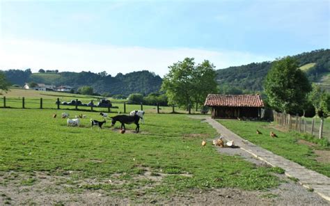 Se caracteriza por su bella vista hacia la costa de bizkaia y su antigüedad es de hace más de 500 sin duda una de las casas rurales del país vasco que más llama la atención de los visitantes. Casa rural en Zumaia Pais Vasco Guipuzcoa cerca San Sebastian