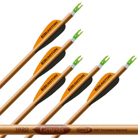 Easton Genesis 1820 Arrows Custom Built Archery