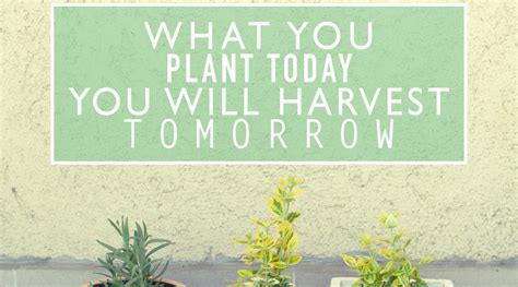 171 Inspirational Gardening Quotes And Sayings