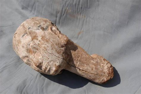 Archaeologists Find 4000 Year Old Wooden Statue Head In Egypt