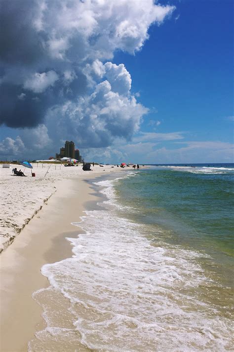 The 15 best places to visit in florida for nature lovers in 2023 – Artofit