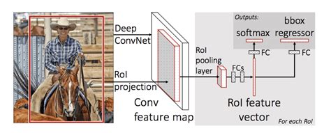 Torchvision Models Detection Archives Debuggercafe Faster Rcnn Object