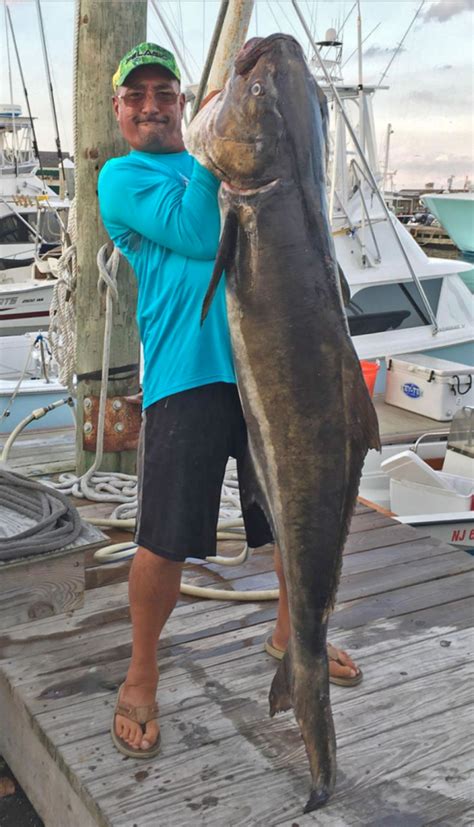90 Pound Fish Breaks 20 Years Old Record Cnbnews