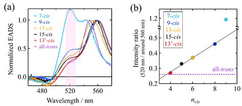 Molecules | Free Full-Text | Excited-State Dynamics of All the Mono-cis