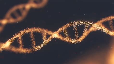 secuencian por primera vez el genoma completo de un ser humano codigo oculto
