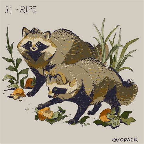 18493 Safe Artist Ovopack Mammal Procyonid Raccoon Feral Lifelike Feral Eating Food