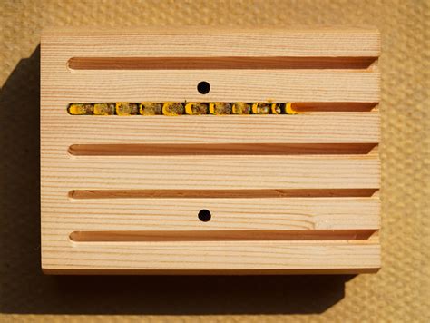 Hive Five Bee House · Really Well Made