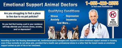 With a valid esa letter, you and your emotional support animal are eligible for legal protections, such as being able to travel with your esa in the cabin free of charge. How to be approved for an Emotional Support Animal