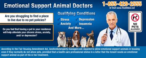 Emotional support animal (esa) letter samples. How to be approved for an Emotional Support Animal