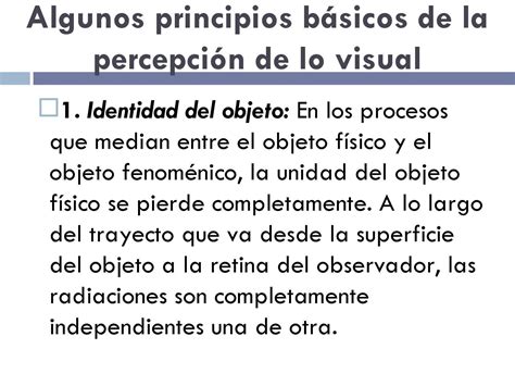 Principios Básicos De La Percepción De Lo Visual By Sergio V Issuu