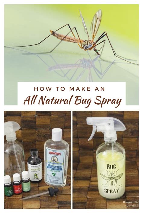How To Make An All Natural Bug Spray Herbal Remedies Home Remedies