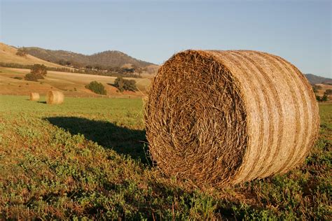 Fileround Hay Bale At Dawn02 Wikipedia