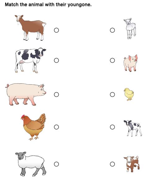 15 Best Baby Animals Matching Printables Pdf For Free At Printablee