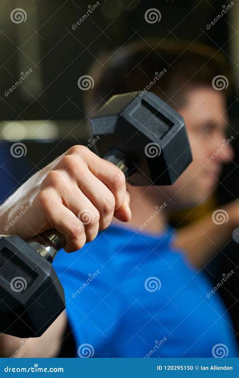 Man In Gym Exercising With Weights Stock Photo Image Of Vertical