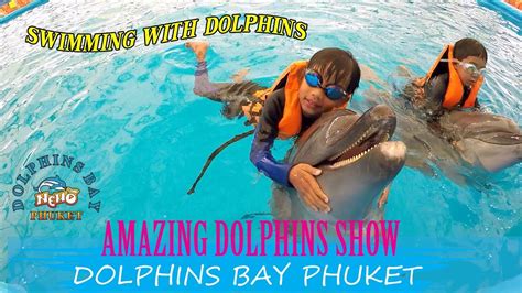 Royal Swim At Dolphins Bay Phuket Youtube