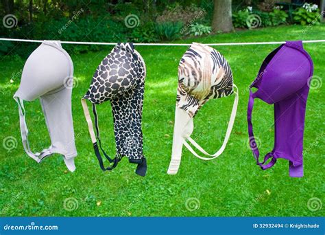 Drying Bras Stock Images Image 32932494
