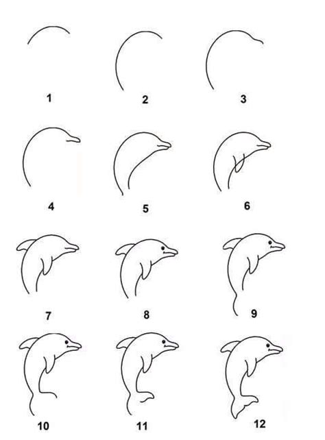 How To Draw A Dolphin Tail Easy Draw Easy