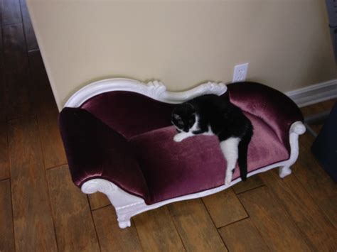 Luxury Fancyt Designer Dog Beds