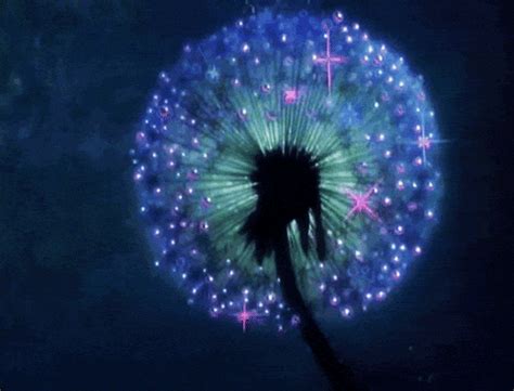 Color GIFs - Find & Share on GIPHY