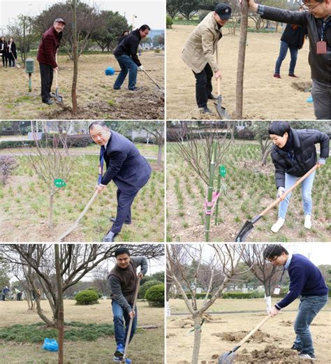 Grow Green Harvest Healthy Tree Planting Activities
