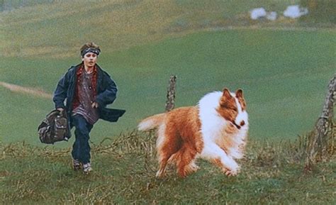 Lassie Film 1994 Kritikák Videók Szereplők Mafabhu