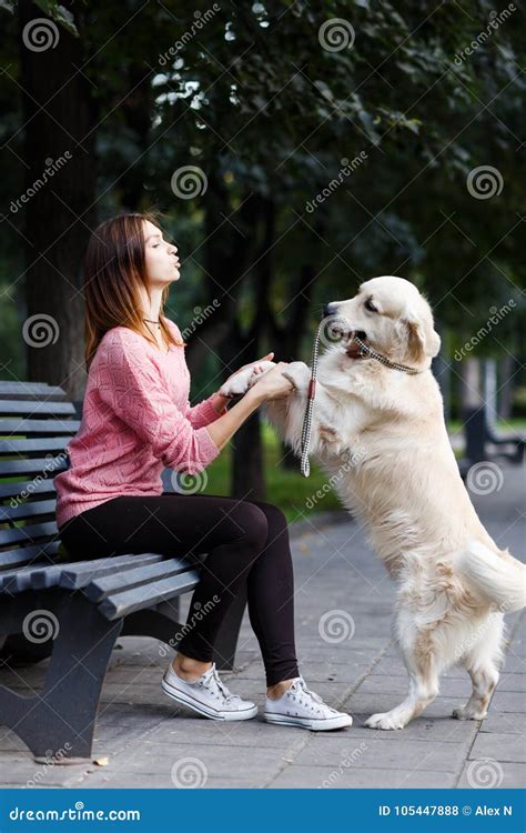Image Of Woman Sitting On Bench Dog Giving Paw Stock Photo Image Of