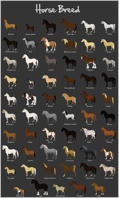 Horse Breeds A To Z Cat And Dog And Pet