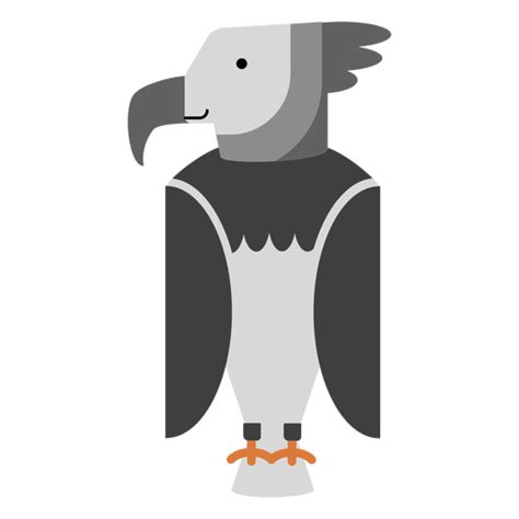 Harpy Eagle Illustration 74105 Png Im 1257638 Png Images Pngio