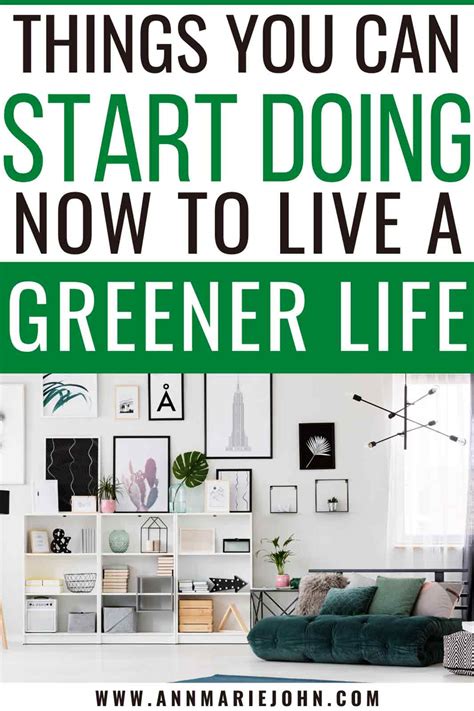 Things You Can Start Doing Now To Live A Greener Life Annmarie John