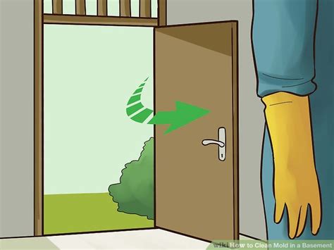 Discovering mold in your house is never a fun situation. How to Clean Mold in a Basement (with Pictures) - wikiHow