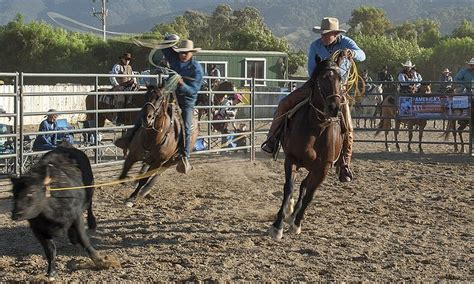 Ranch Roping With The Brannamans Cowgirl Magazine