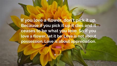 Quotes About Picking Flowers 26 Quotes