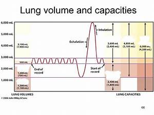 Lung Volumes And Capacities Diagram Quizlet