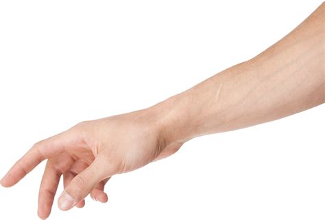 13 Transparent Anime Hand Png