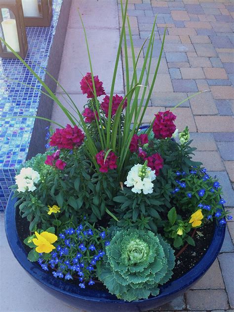 Water regularly, as containers can dry out quickly even in winter. Pots Tucson, AZ | Sonoran Gardens Inc.